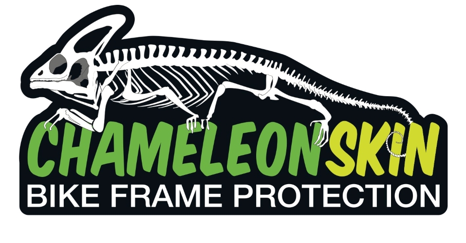 logo_camaleon